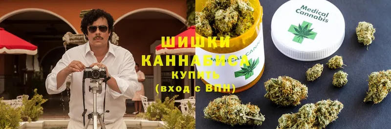 Конопля OG Kush  omg как зайти  Нестеров 